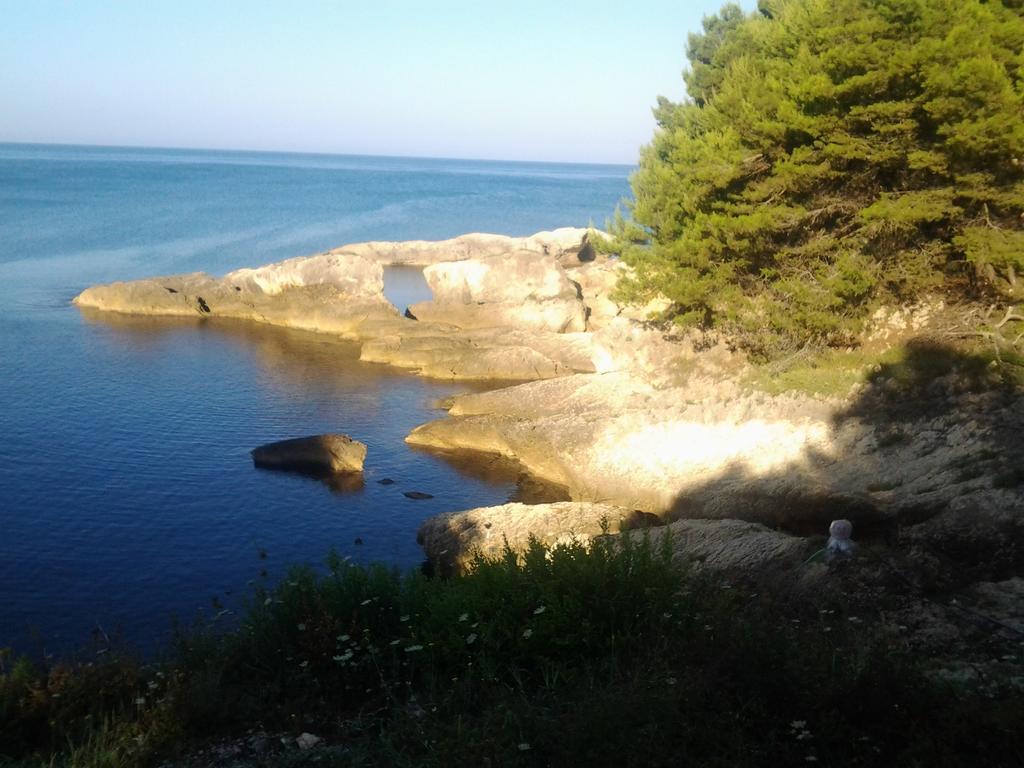 Guest House Aldin Ulcinj Exterior photo