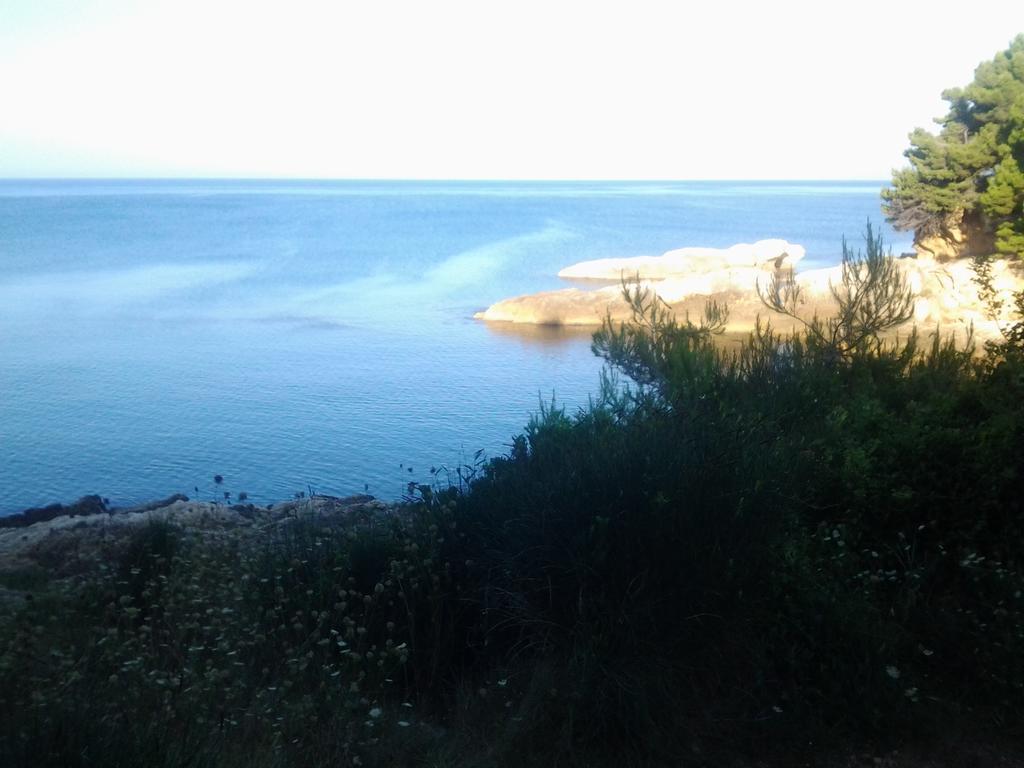 Guest House Aldin Ulcinj Exterior photo